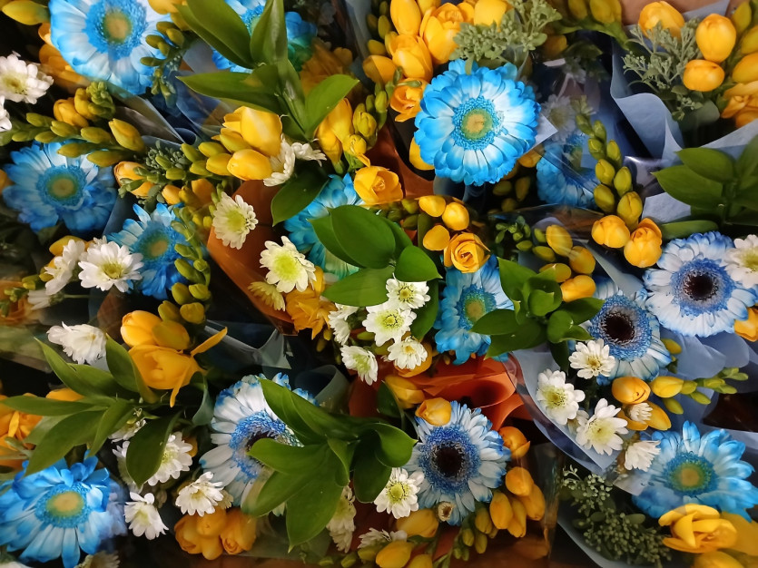 daff31897a1d6a7faa16a285cc86ce0a_1741140599_4152.jpg